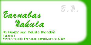 barnabas makula business card